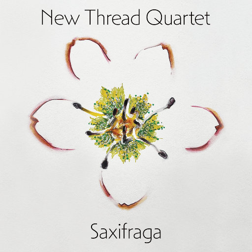 91少妇被躁爽到高潮无码播放
